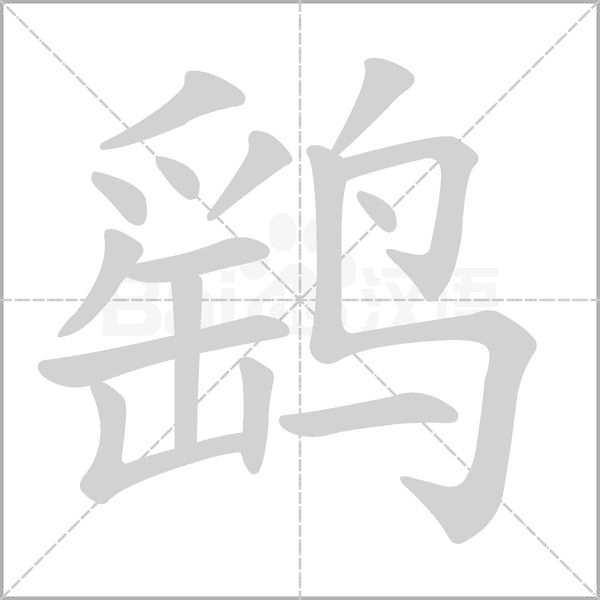 笔顺动画