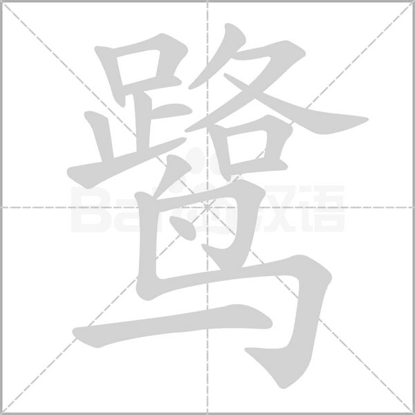 笔顺动画