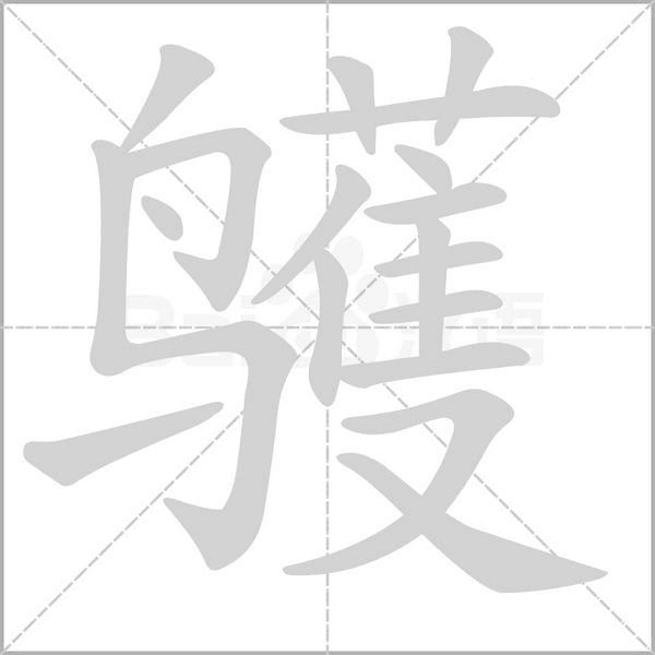 笔顺动画