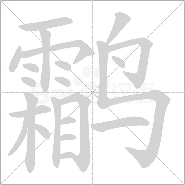 笔顺动画